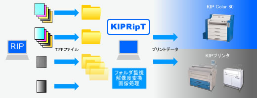 KIPRipT フロー